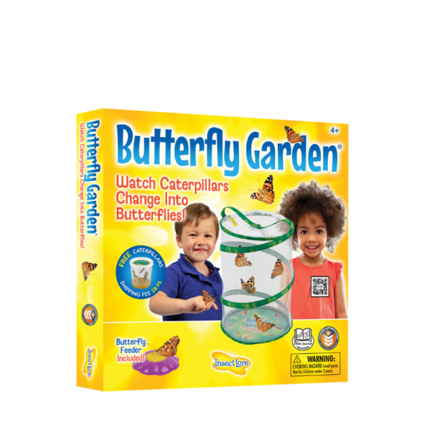 Butterfly Garden